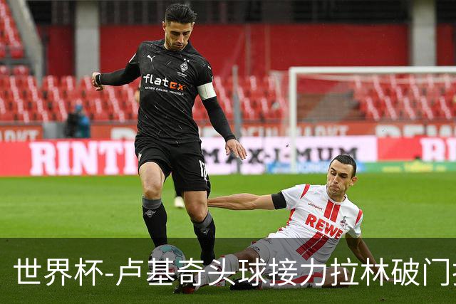 世界杯-卢基奇头球接力拉林破门扳平 加拿大1-1波黑