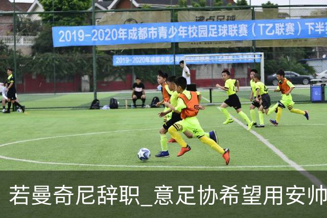 若曼奇尼辞职 意足协希望用安帅或卡纳瓦罗替代